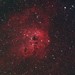 IC410 (Tadpoles Nebula) HaRGB - 16 Dec 2021