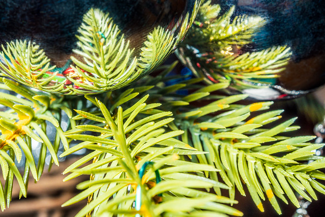 tree ornament reflections