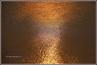 11157 - sun rise reflections at Elliots Beach