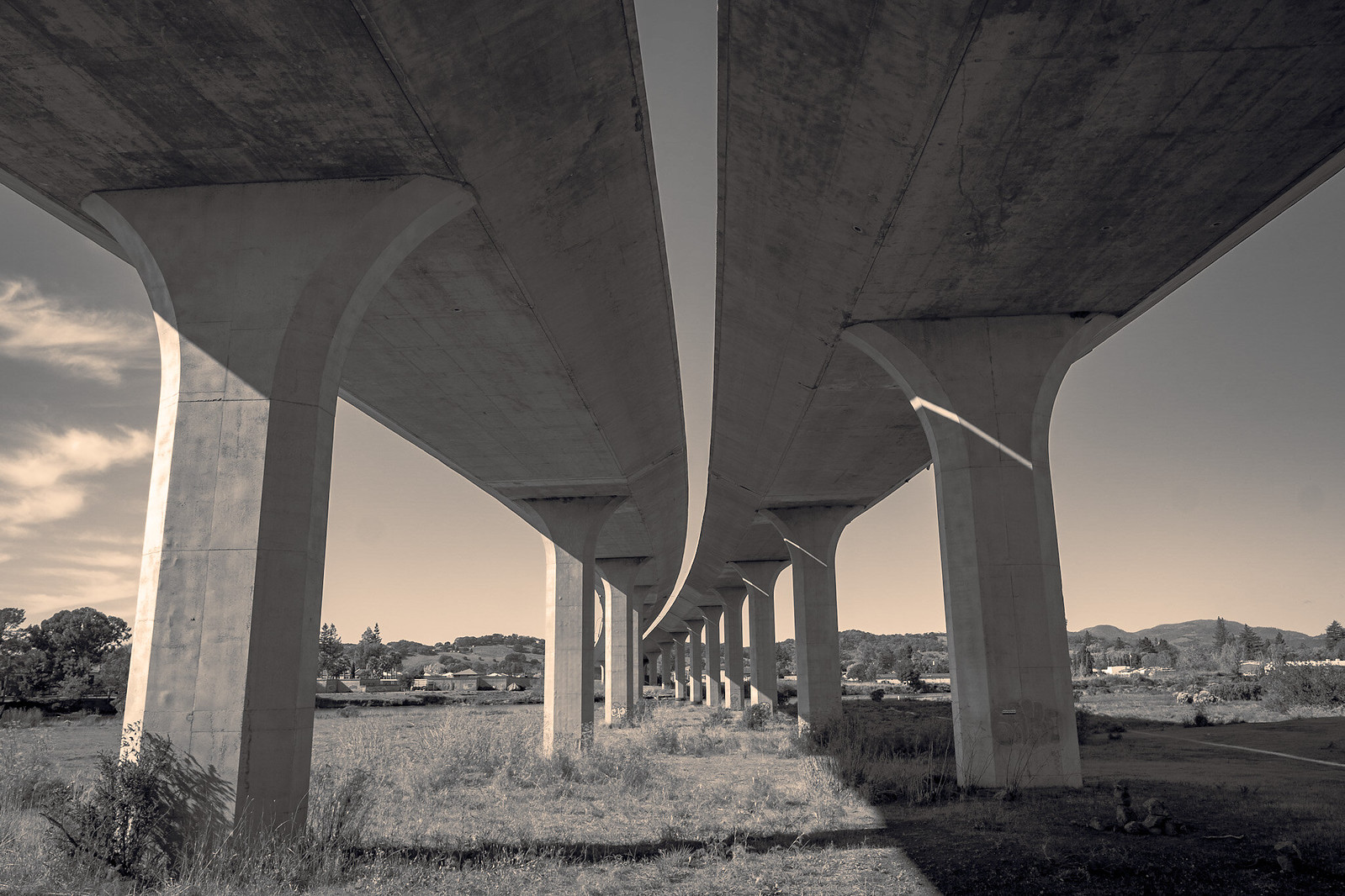 Underside of overpass on the Napa River Trail