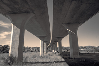 Thumbnail image for album (Underside of overpass on the Napa River Trail)