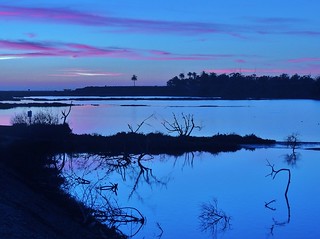 Blue hour at the wetlands...