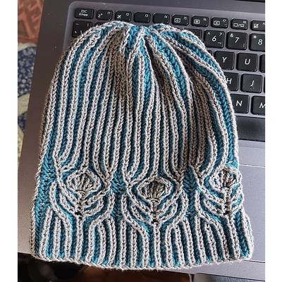 Sandi test knit this brioche Cluaran Hat by Ruth Nguyen. Yarn is Hikoo Cobasi.