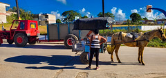 Daily life in Cuba; A veggie and fruit vendor in his horse cart in the streets of Camajuaní. | Vendedor de hortalizas en la calle San José, Camajuaní, Cuba, 2021