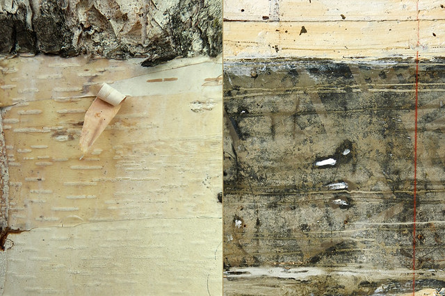Abstract diptych of birch bark combined with a used concrete form