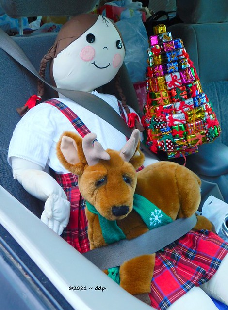 Me Doll, Sadrein & Tiny Christmas Tree Buckled In for Drive to Covered Bridge