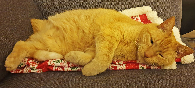 his last Christmas