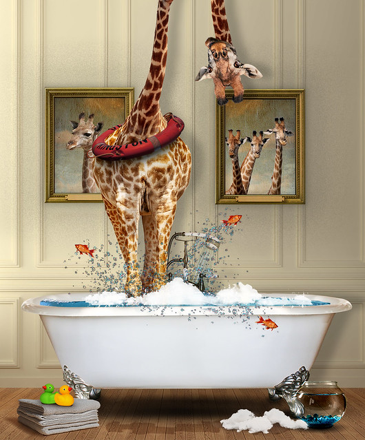 Giraffe Bath (Explored 12-26-21 #52)