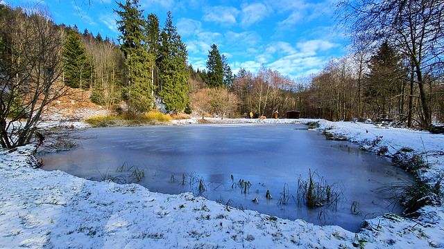Kleiner Teich am Kräuterpark