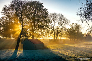 November sunrise with haze and frost (Zwartewaal/NL)