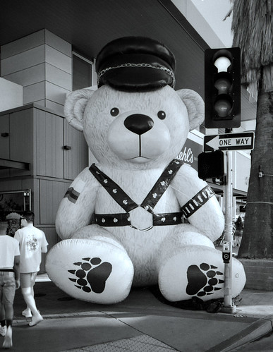 Leather Teddy Bear