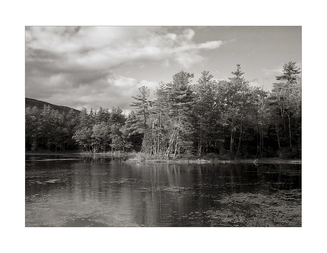 Pond View, film
