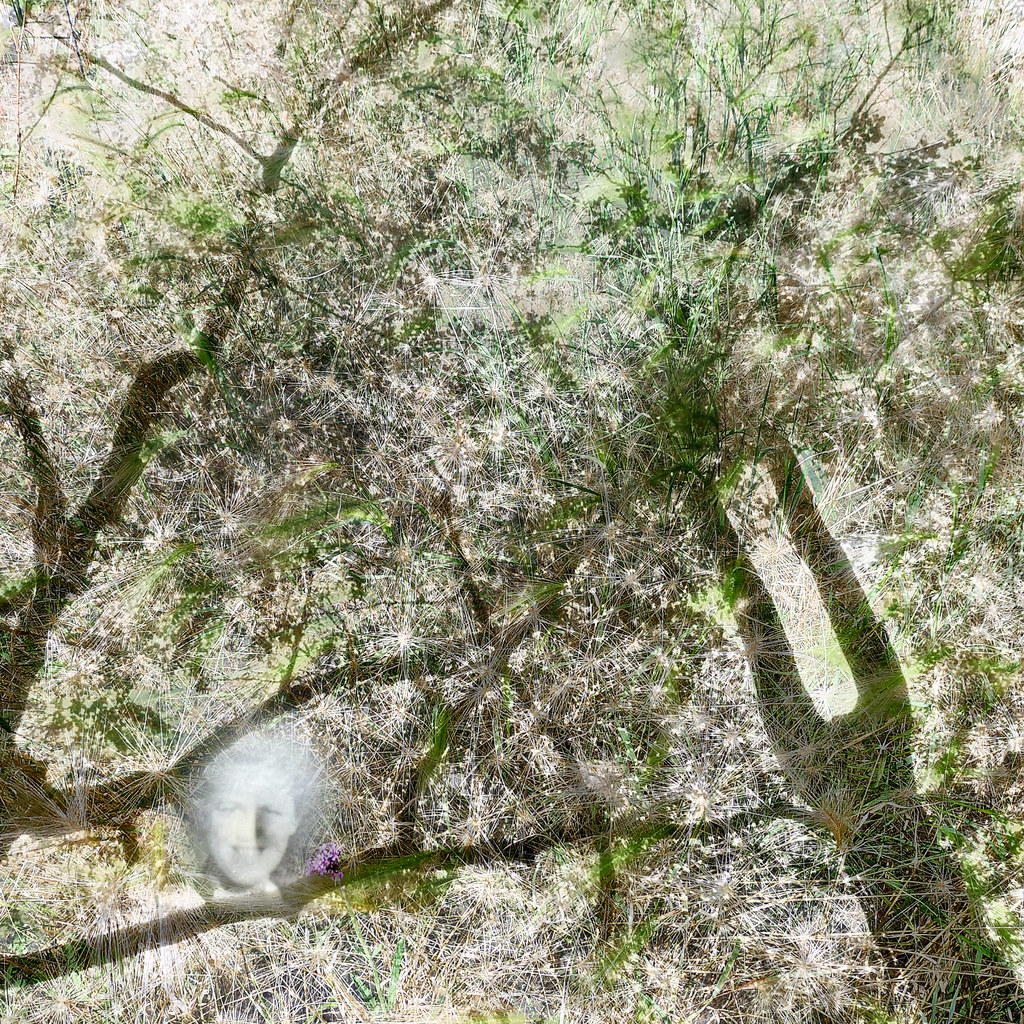 Paysage pâle, branches apparition