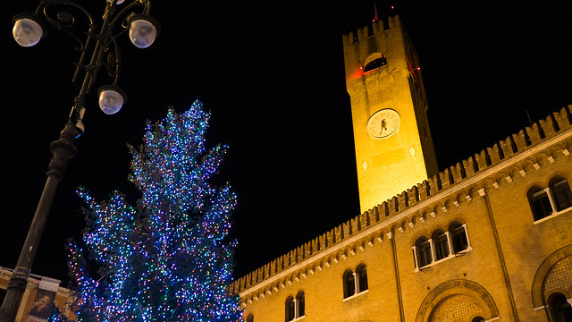 Christmas tree ( Piazza dei signori ) Treviso