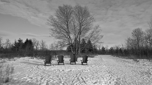 orleans relaxation hiver orléans on canada 08217 chaise chairs paysage landscape winter lhiver noiretblanc blackandwhite sonya7ii blackdiamond