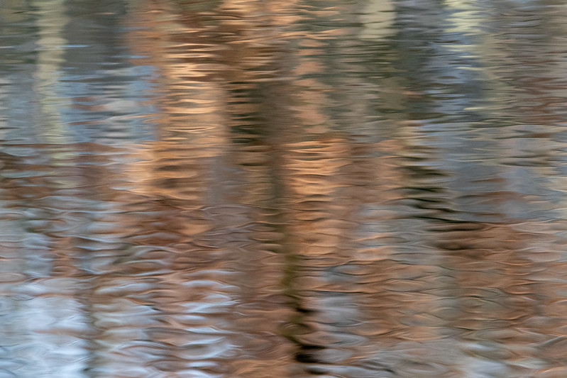 reflected-lullwater-0240
