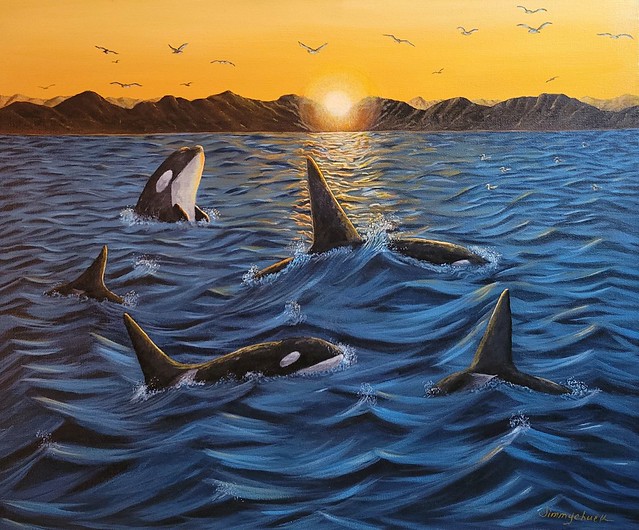 Orcas Sunset
