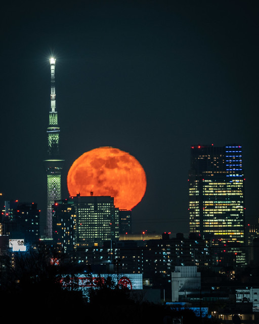 Skytree Moonrise