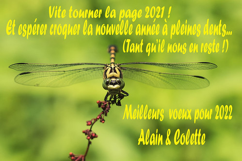 COCHET-Alain-Voeux 2022