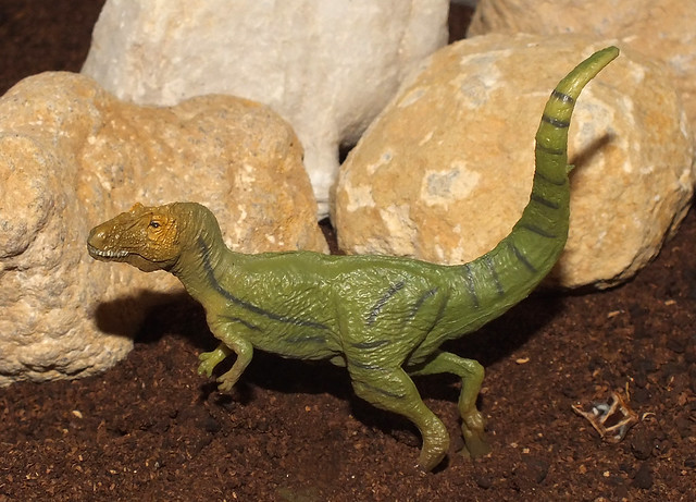 Allosaurus (†Allosaurus fragilis) PNSO replica