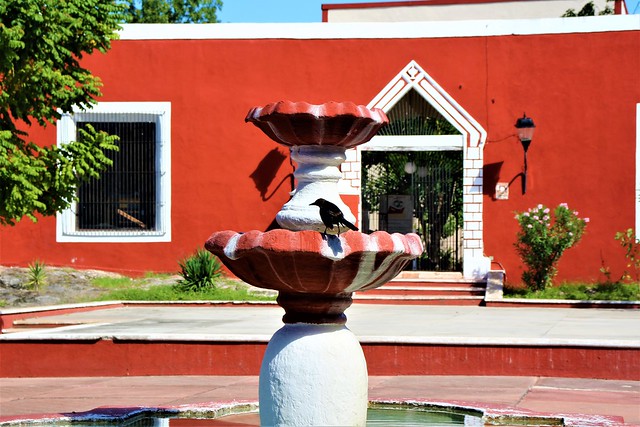 valladolid historic center, yucatan, mexico (26)