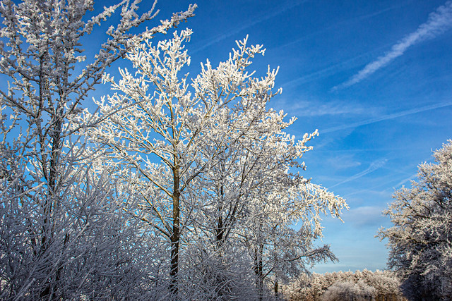Winter, B474, Dülmen, Germany