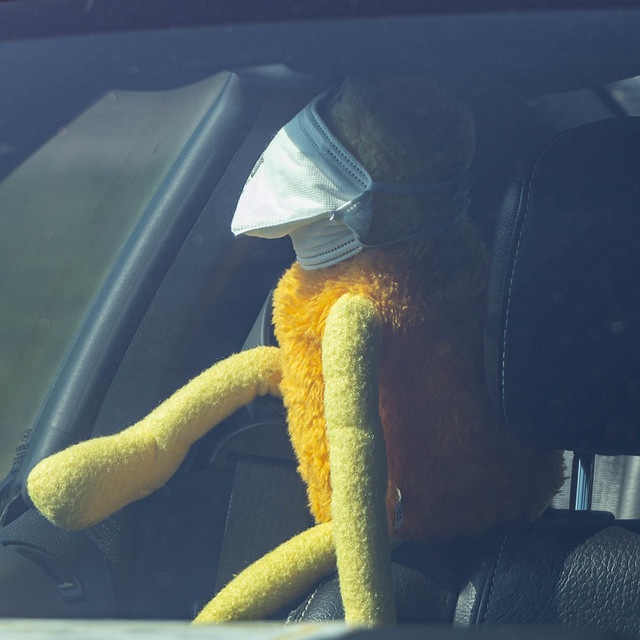 Flat Eric wearing a mask, perched next to the headrest