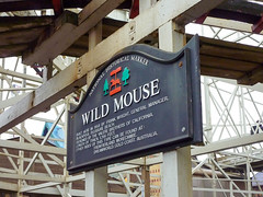 Photo 2 of 3 in the Wild Mouse gallery