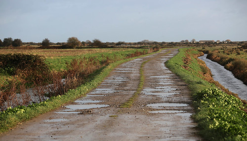 A walk on Worth Marshes
