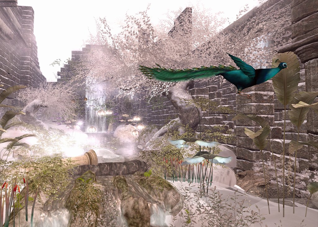 Merp Bird Bird of Paradise ??? @ The Winter Garden | Cat Merp | Flickr