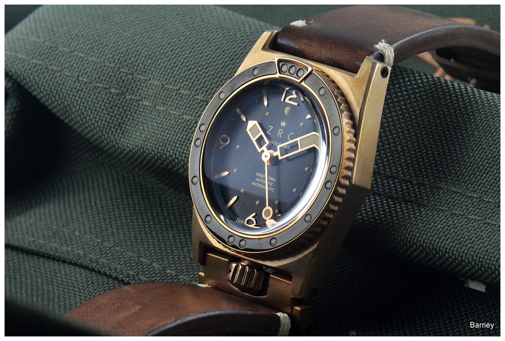 Bronze du jour... - Page 22 51785526353_0df2d7ff87_b