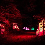 Nuit de la Culture @ Ellergronn - Parcours Forestier & Osmose & Deep Forest Labyrinth
