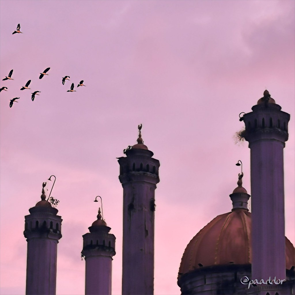 Birds over the Dawatagaha Jumma Masjid in Colombo