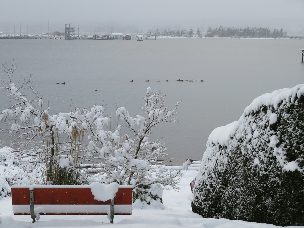 Christmas day in the Comox Valley