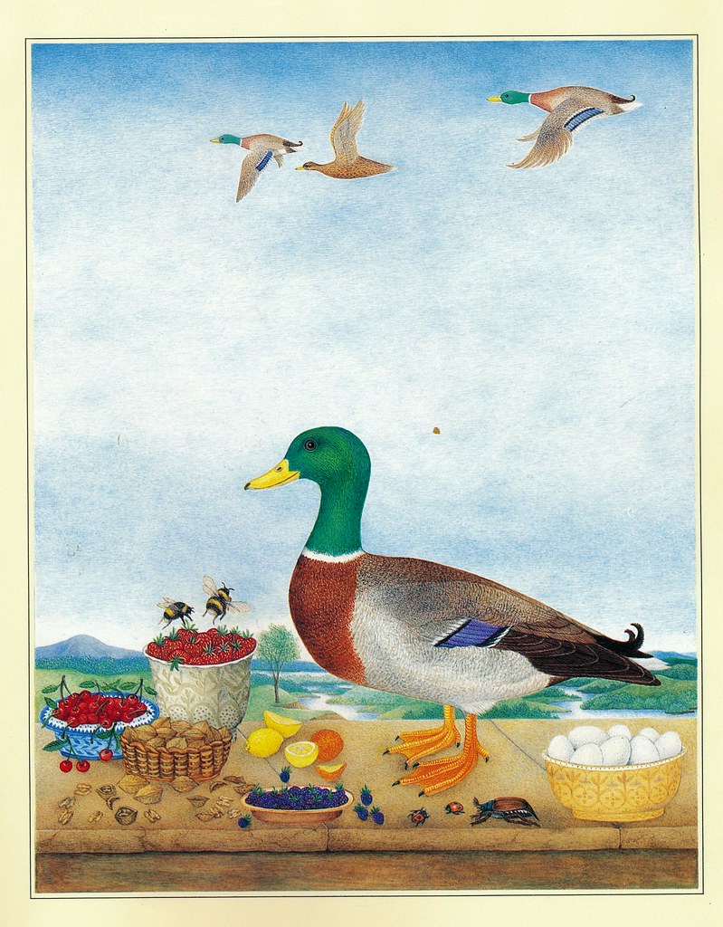 Monika Beisner, Raadselboek, 1983, ill E | en.wikipedia.org/… | Flickr