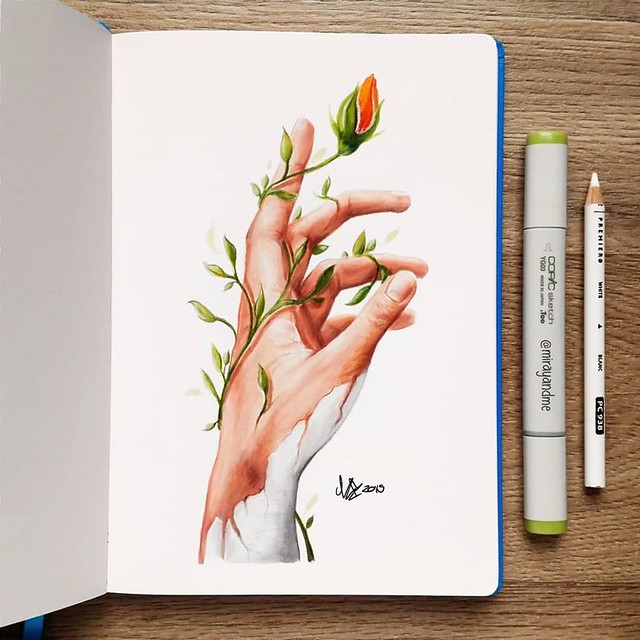 Color Pencil Drawing Rose Bud