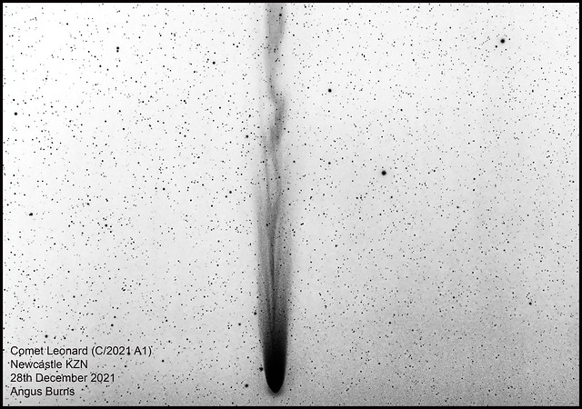 Comet Leonard 28 Dec 2021 Newcastle KZN inverted black and white version