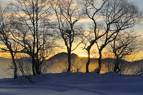 sunrise lake trees snow morning light silhouettes urabandai 檜原湖 裏磐梯 landscape hat
