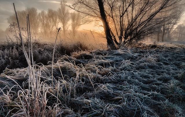 Hoar frost in the Laber valley (explored)