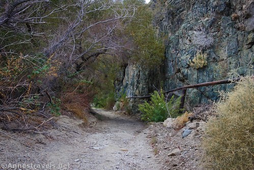 The pipeline and trail along the cliff face, Darwin Falls, Death Valley National Park, California