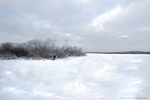 listenwavephotography landscape lakhta dji art fineart tree trees winter snowing snow