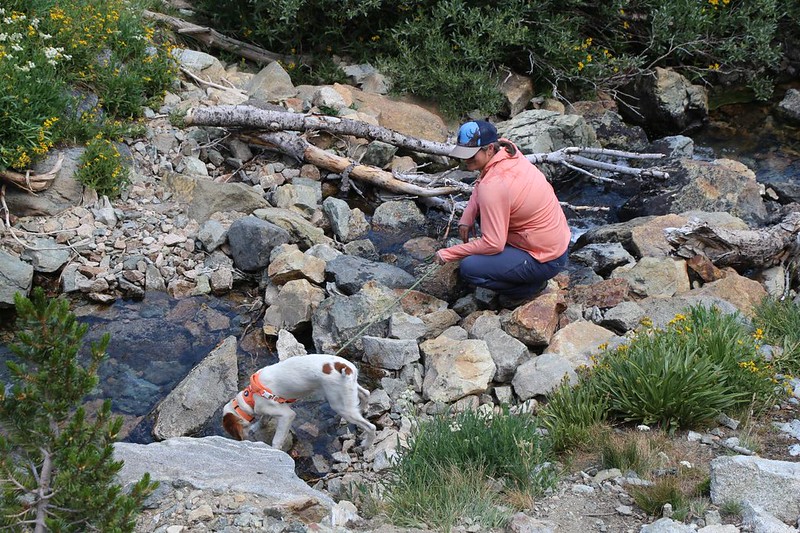 Bryson and Kat as the puppy gets a drink of icy High Sierra Water - the best kind!