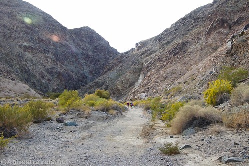 Heading up the canyon to Darwin Falls, Death Valley National Park, California
