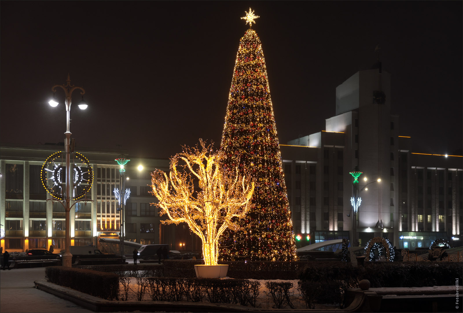 Елка на площади Независимости, Минск, Беларусь