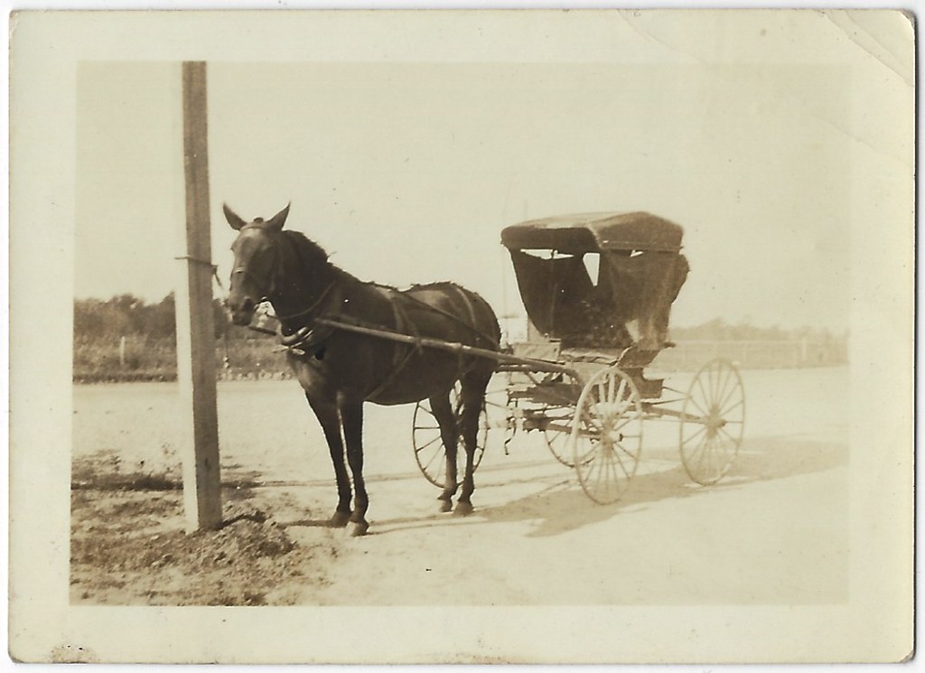 Unidentified Horse & Buggy. Louisiana. Found Photograph.