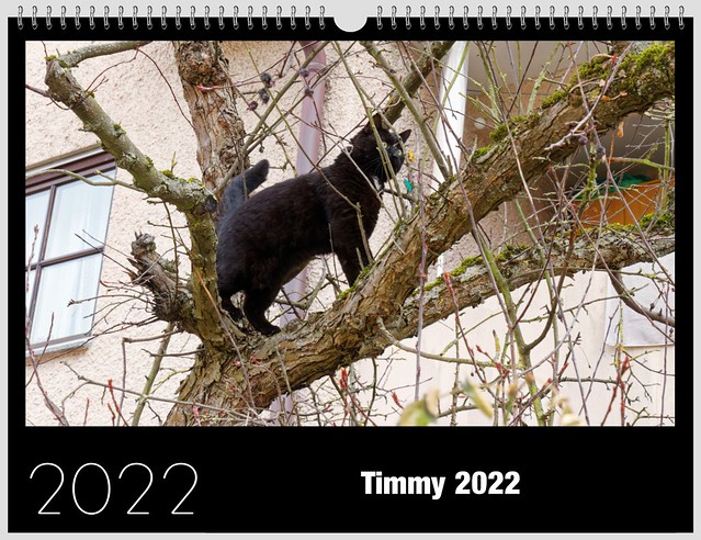 Timmy Calendar 2022