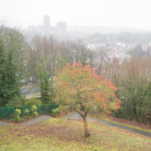 Toward Durham Cathedral from Wharton Park | by cannam