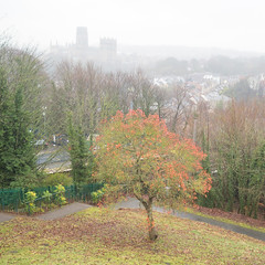 Toward Durham Cathedral from Wharton Park