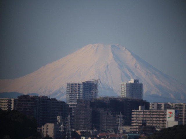 New year Mt. Fuji