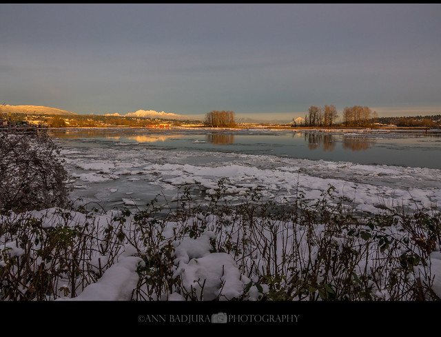 Frozen Fraser River in New Westminster near Vancouver, BC, Canada